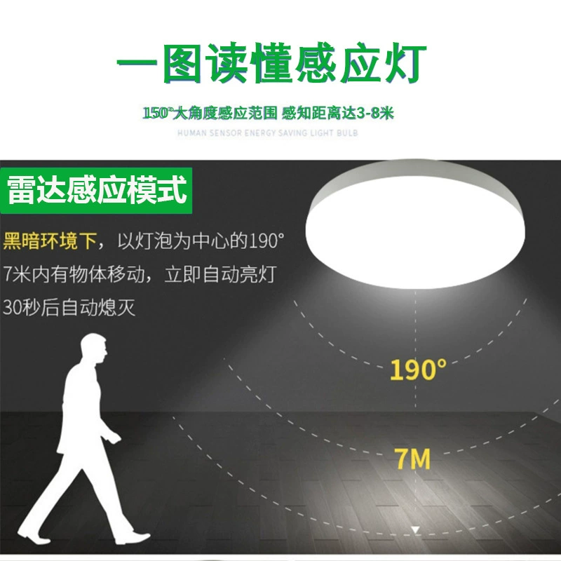 Luz de techo LED cambia colores con música suave, fuente de luz por inducción, hecha a medida