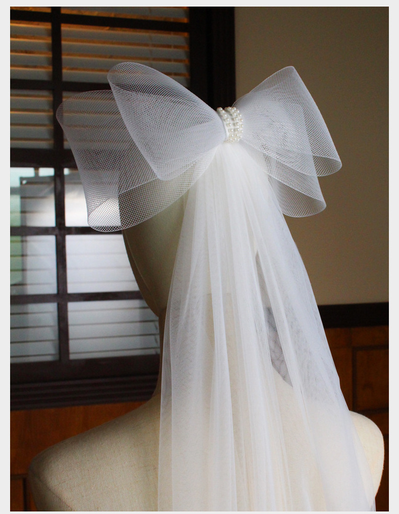 Women's Simple Style Bow Knot Cloth Birdcage Veils display picture 6