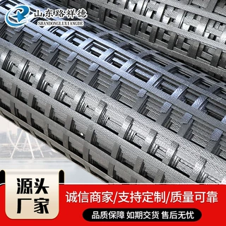 钢塑土工格栅 源头厂家防沉降软基处理堤坝加筋用 钢塑土工格栅