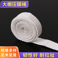 大棚压膜绳农用果蔬白色涤纶压膜线温室加厚压膜带耐用大棚专用