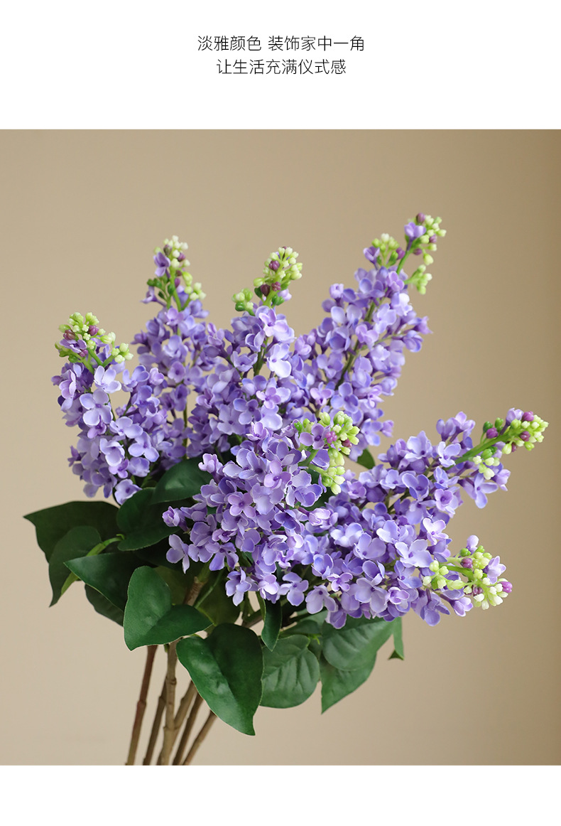 单枝紫丁香_09.jpg