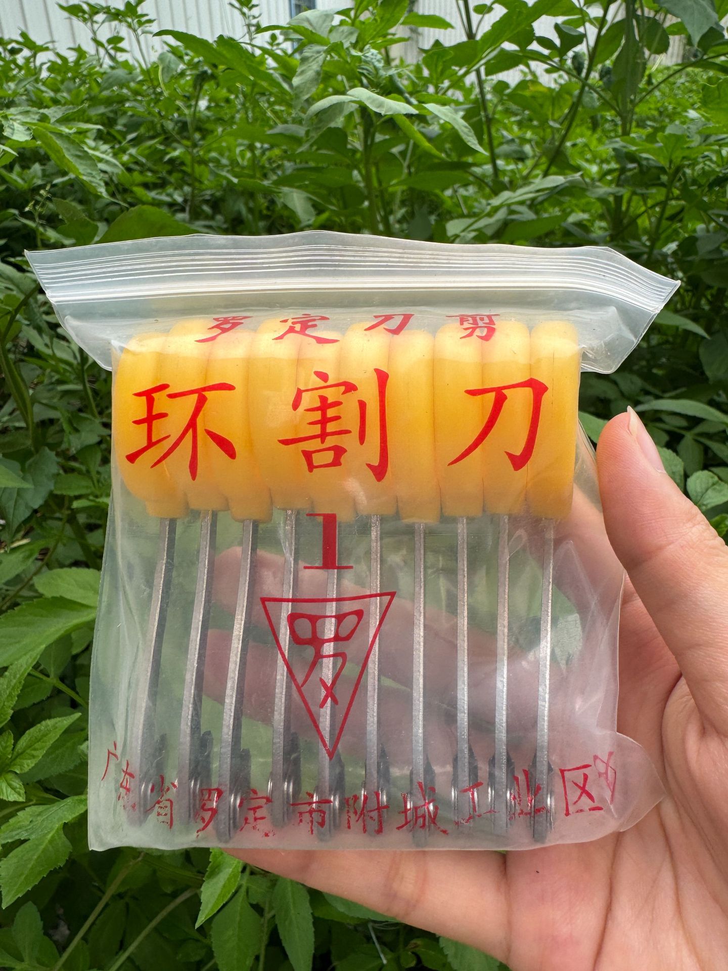 微信图片_20240822190703