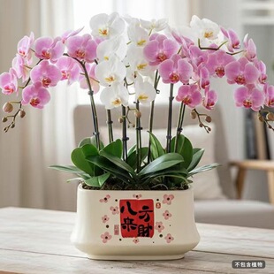 ���W�����մ��L���κ����m������Ӽ��҃��k�����������Gֲ����