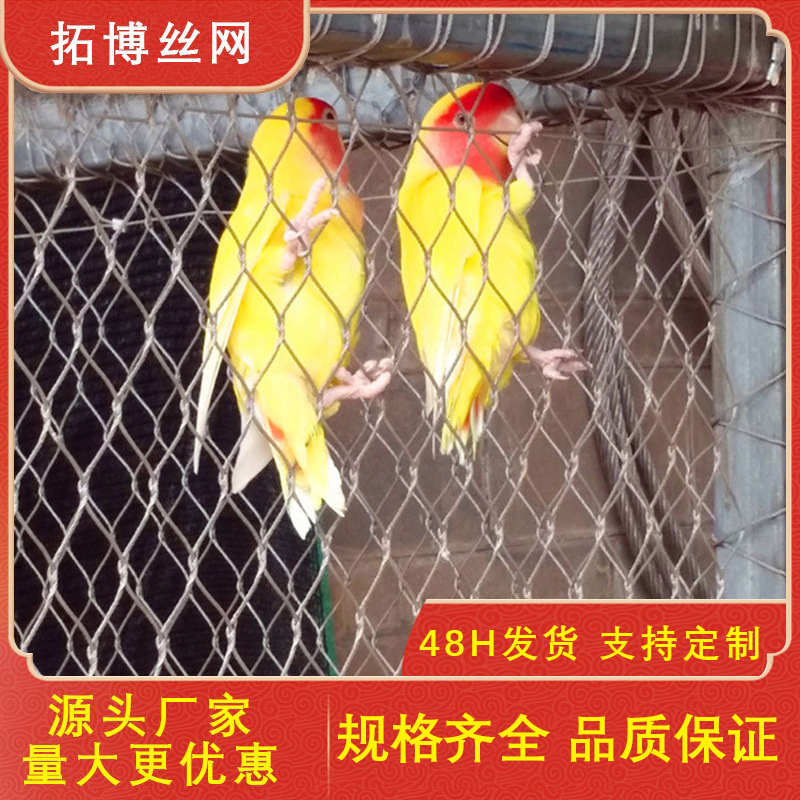 批发不锈钢卡扣绳网动物园笼舍鸟语林网植物攀爬城市绿化墙壁网
