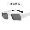 Brand trend sunglasses, 2021 collection, European style, internet celebrity