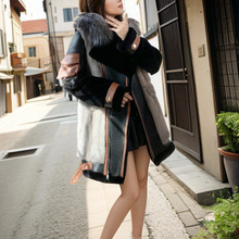 ˮƤëһwë2025IC܇Ƥݴr¿Lƴ