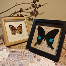 ������˱��п����[��ԭľ�F���ҾӔ[̨�b�Ʒ�������նY������