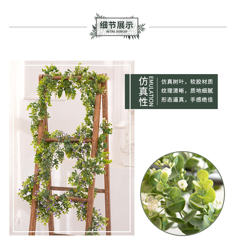 藤条详情-兰韵_06