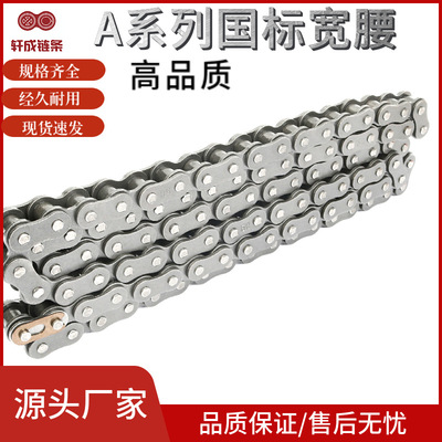 [供应工业国标加厚链条宽腰耐用单双三排短节距传动输送精密滚双排]