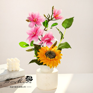 Artificial Flower Magnolia Sunflower Bonsai Creative Ornaments Decoration Manufacturer Direct Supply Artificial Green Plants Fake Flowers Artificial Potted Plants