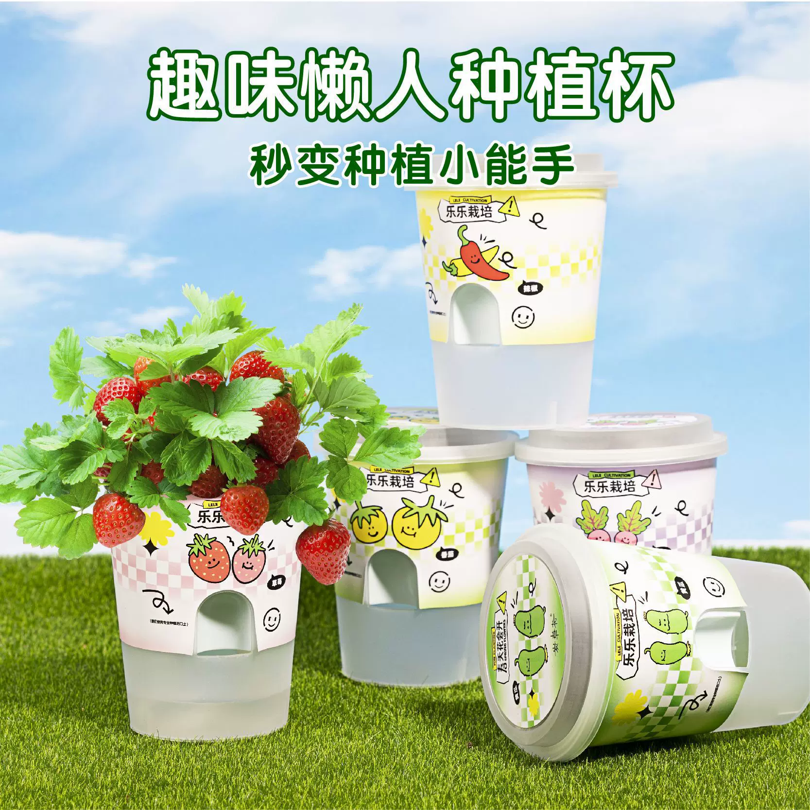 绿植花卉盆栽 室内桌面植物diy创意儿童学生幼儿园小玩具活动礼品