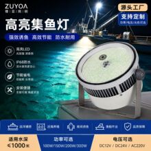 �O������LED���~��800W�G�{�������T�~ ���}�F���g���� �����~