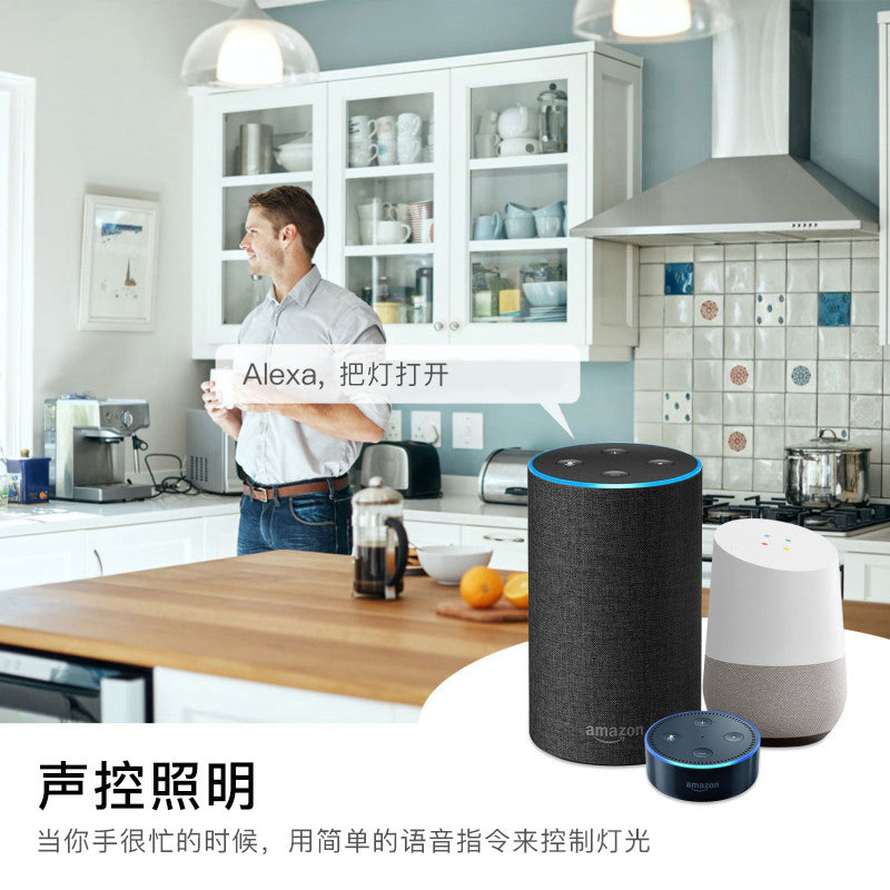 定制款涂鸦WiFi调光开关模组定时module语音控制12路调光通断器