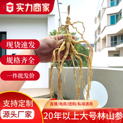 長白山高麗人参専門森林高麗人参バルク卸売漢方薬食品ギフト中高年卸売ホリデーギフト