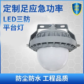 防爆灯;道路照明灯;路灯