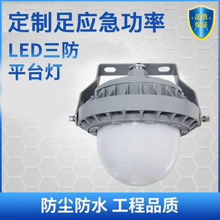 定制带应急功能足功率9186三防平台灯LED平台灯