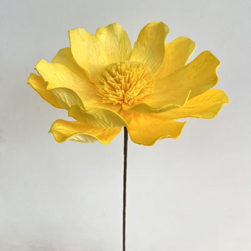 Gran lirio de hierba naranja y amarilla de 15 - 16 cm de diámetro y 60 cm de largo