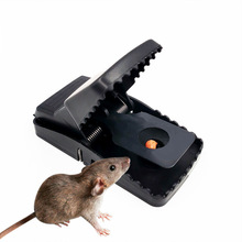 A ϼòA `󹤾 ץA ճ