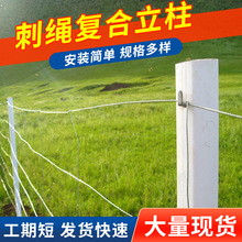 剌绳复合立柱复合纤维方管 圈地果园樱桃园隔离柱防盗围栏立柱