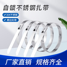 304不銹鋼扎帶自鎖式4.6mm金屬電纜扎線帶捆綁束線帶防腐蝕耐高溫