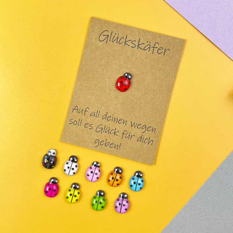 クロスボーダー DIY ドイツ祝福ポケットハグカードかわいいミニ 10 色小さなてんとう虫ラッキーギフトカード付き|undefined