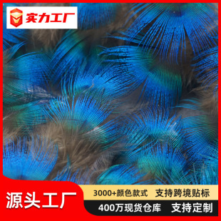 ��ȸ�{Ƭ��ë���l��l�diy�ֹ����Ͽ�ȸë�c�乤ˇƷ�b��mƬ