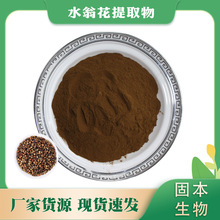 水翁花提取物 水翁花浓缩粉 水雍花/酒翁提取物 厂家1KG批发包邮