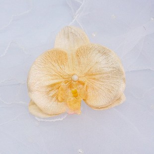 F �q���Wʽ�����m���仨�^��С̖���ֹ�diyñ�ӻ�ɳ��Ь���b����