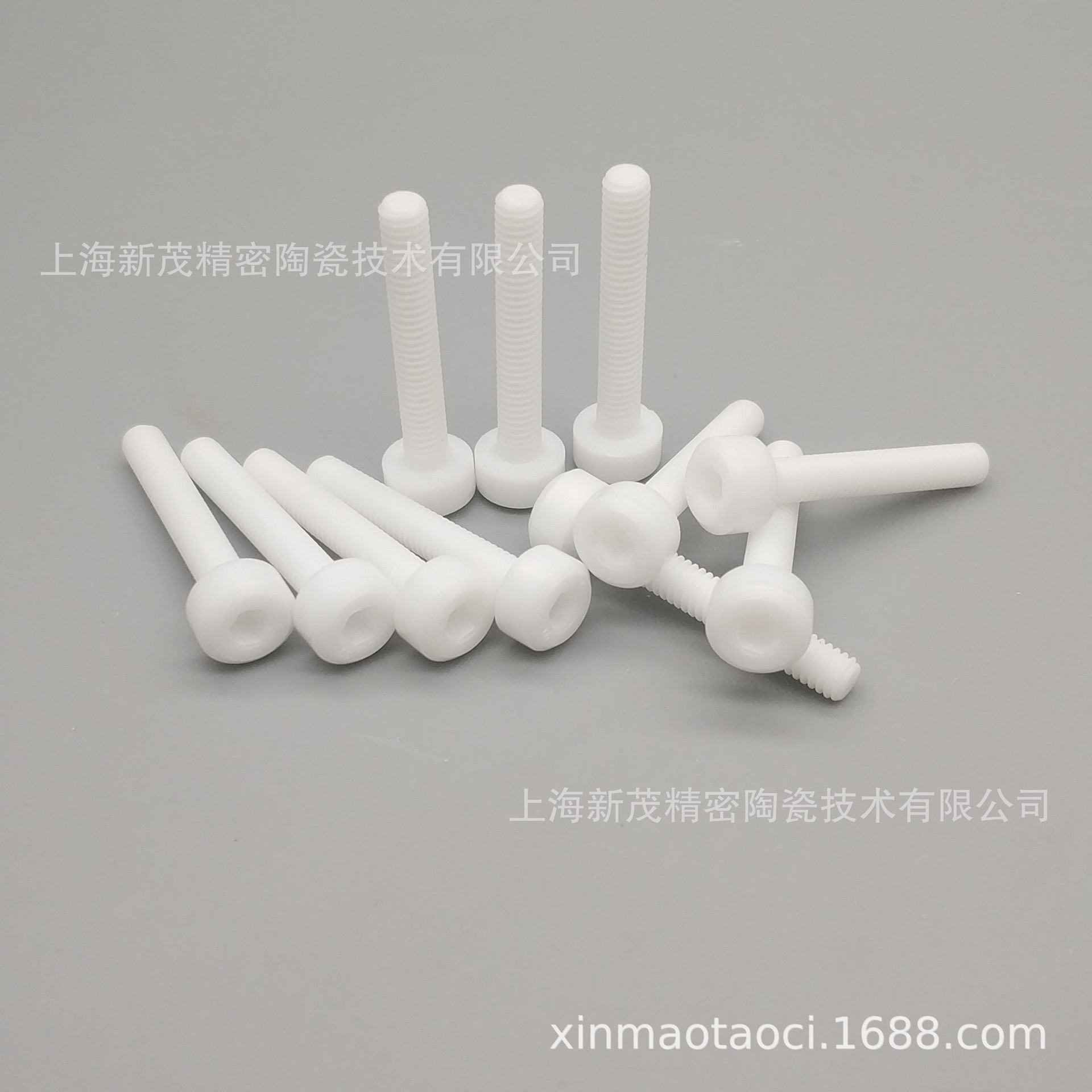 电子陶瓷材料 氧化锆 陶瓷螺钉 M4*25 (内六角)