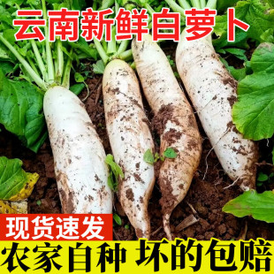 ���}�����r���]5�����}����Ƥ�}���ǞH�hˮ���}��ɳ�C�}���G�}��