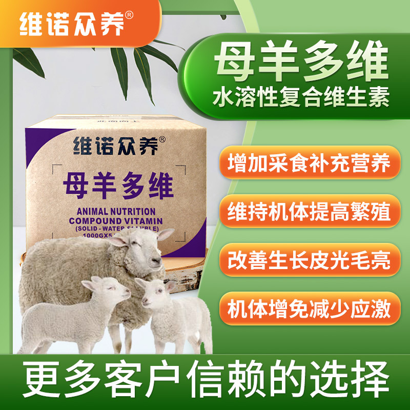 母羊多维兽用多种维生素补充营养提高繁殖配种能力泌乳量改善生长