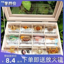 �挍������˱����~�Ǟ������r���\С���r�ľ�з�з�����~��̫��