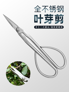 All Stainless Steel Gardening Scissors, Leaf Bud Scissors, Tender Bud Scissors, Flower Arrangement Bonsai Branch and Leaf Scissors, Pruning Branch Scissors, Thickeneded Long Pole