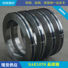 SҹSAE1070 SAE1070 䓰SAE1075䓎 ̼ĥ