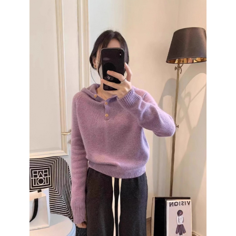 Autumn and Winter Skin-Friendly 100% Wool Hoodie Sweater Women's Thickeneded Loose Lazy Style Casual Sweatshirt Knitted Jacket