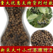 l²ľN~С~@־GľNwM