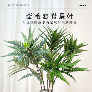 ֲ֧ë~ާݻY쾰ŻGֲ쾰Pβާ~