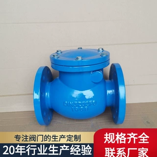 定制德标DIN3202F6旋启式止回阀软密封硬密封H44XH44T止回阀