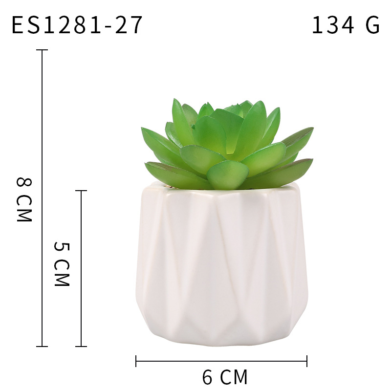 Pequeña ola al por mayor taza tipo simulación planta suculenta nórdico Muebles de Oficina Decoración fresca nuevo producto