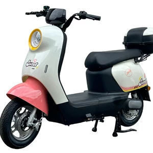 Kiçik P9 Lityum Batareyalı Elektrikli Velosiped, Lisenziyalı Elektrikli Skuter