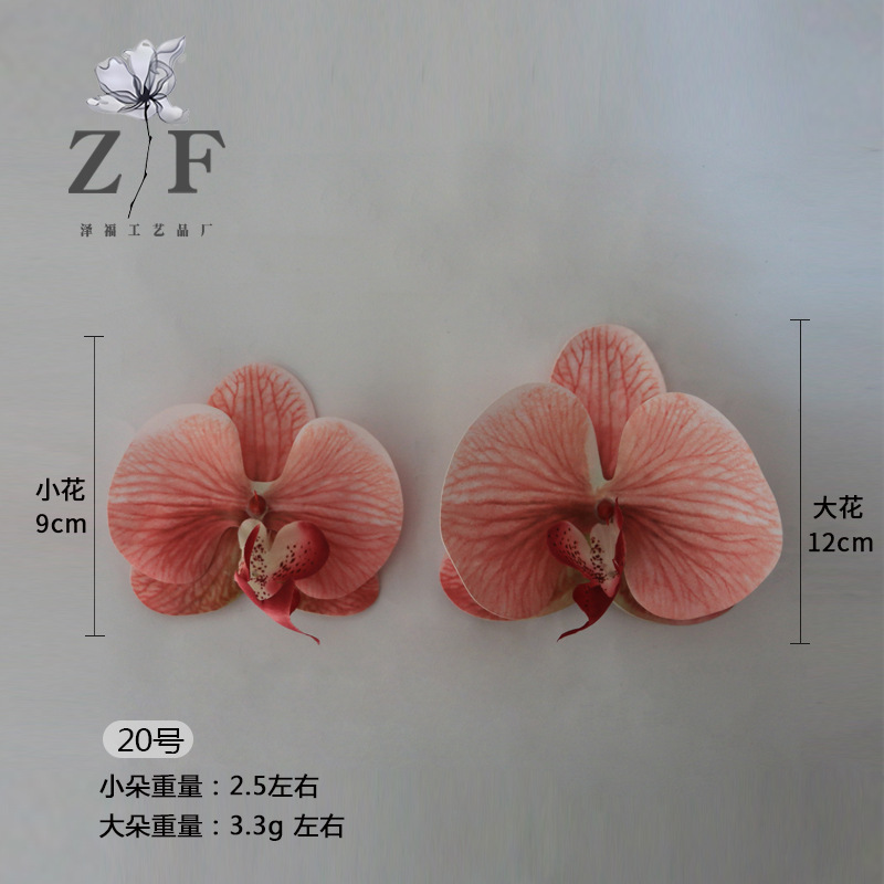 20호(대)