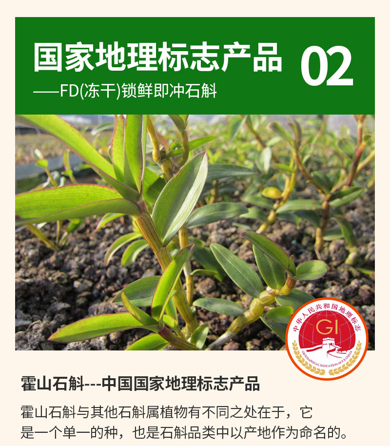 Freeze-Dried Shi Hu (Dendrobium) Instant Drink Powder — 5g Jars, Food-Herb Dendrobium specifications