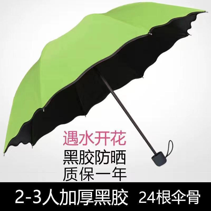 手動で水に出会って晴れた傘を咲かせます。|undefined
