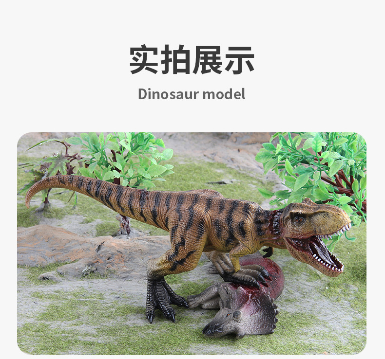 恐龙模型_08.jpg