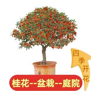 �𻨘���������Ԡ�Ԫ�t�ļ������ؼ����Ϙ��ļ��_��������