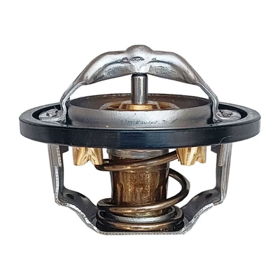 Thermostat, Thermostat