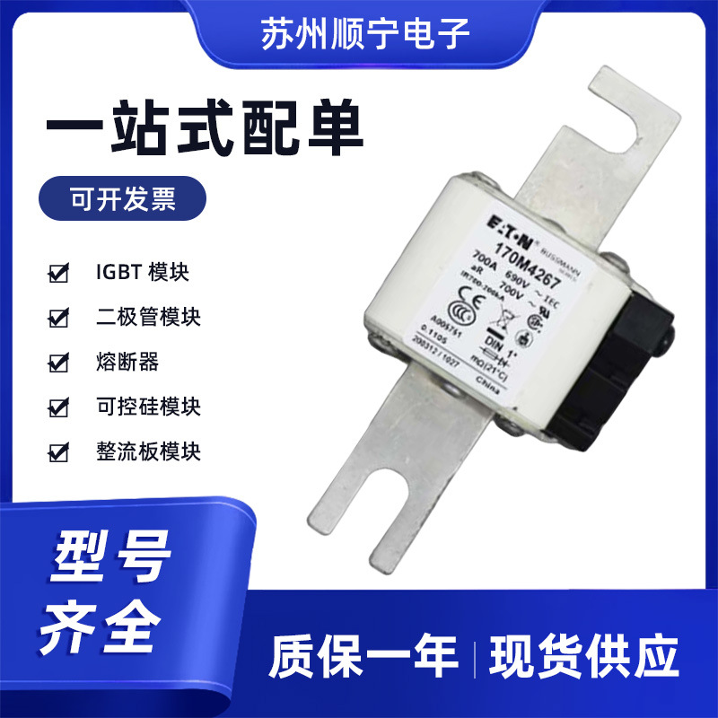 170M2031 170M2032 170M2033 快速熔断器  电子元器件   全新原厂