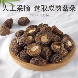���X����؛���b�r����؛�o���^����r�aƷ���lʳ�þ������㹽