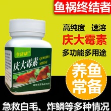 庆大霉素炸鳞立鳞烂鳃烂尾白毛白点观赏鱼淡水鱼龙鱼海鱼鱼缸