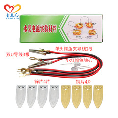 DIY Fruit Battery Power Generation Experiment, Zinc-Copper Sheet Potato Science Project, Invention Device, Physics Materials